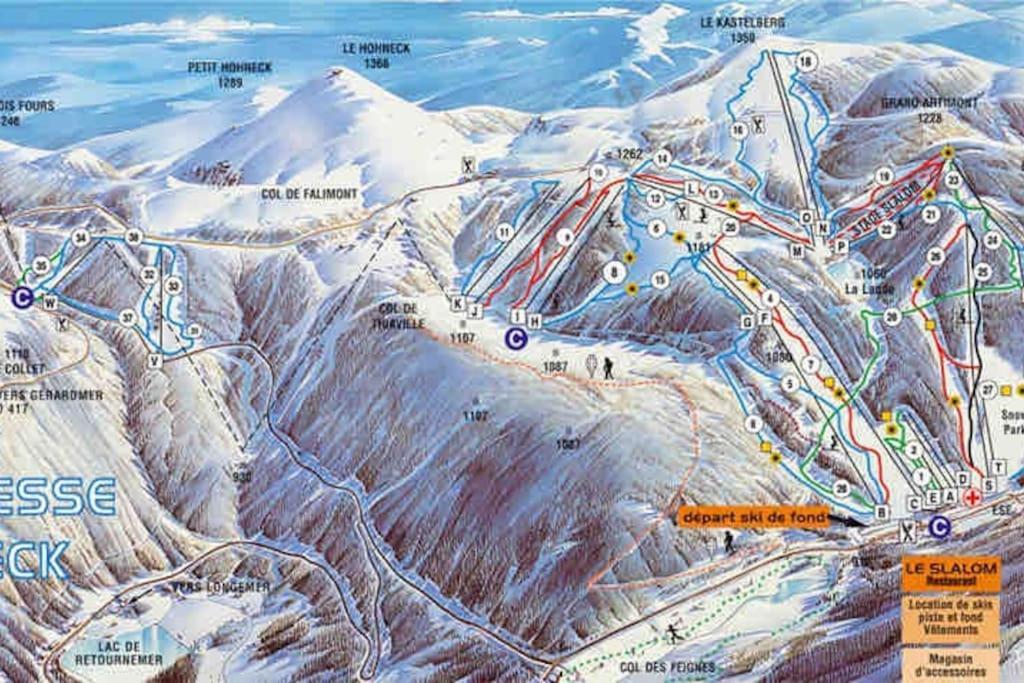 Appartamento Cocon Des Chaumes La Bresse Esterno foto